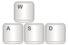 W A S D Keys